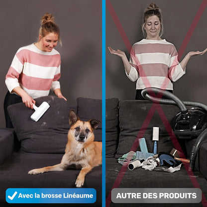 Linéaume Pelage – Brosse anti-poils réutilisable pour chiens et chats
